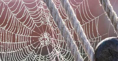 How To Get Rid Of Spiders On A Sailboat | Life of Sailing