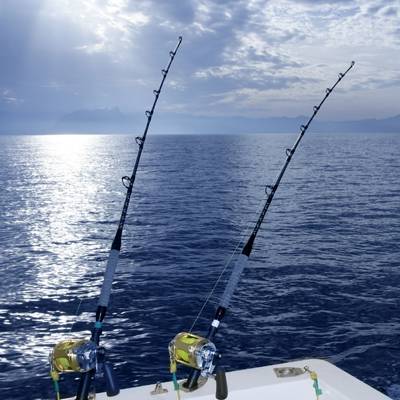 Rod and Reel Gear