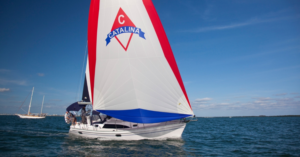 Catalina 315