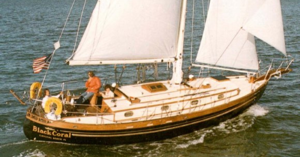 Tayana 37