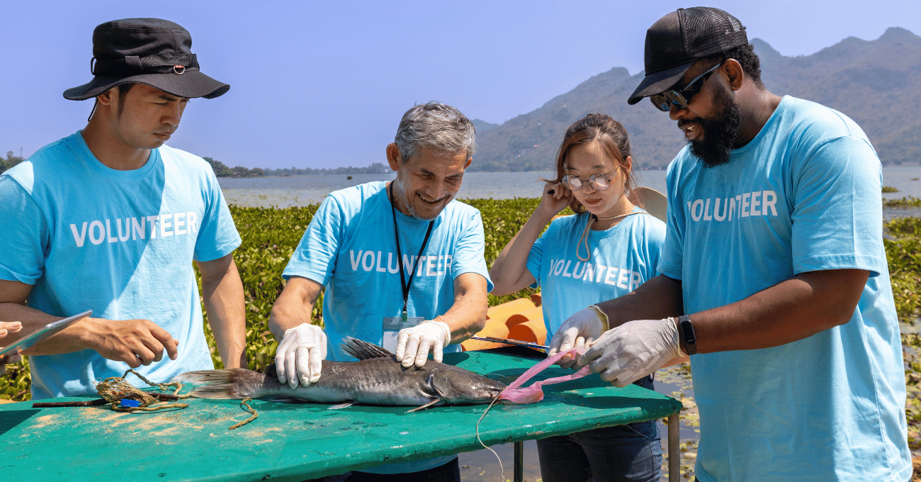 Rescue of Marine Species